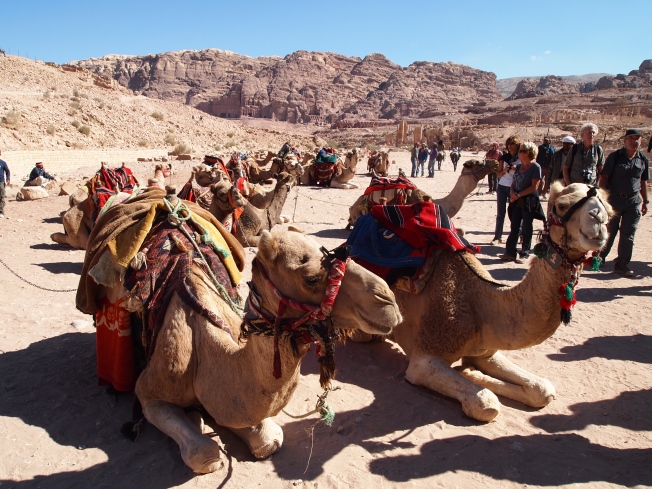on the way out of Petra, camels galore.... wish I had one to give my poor legs a rest.. :-)